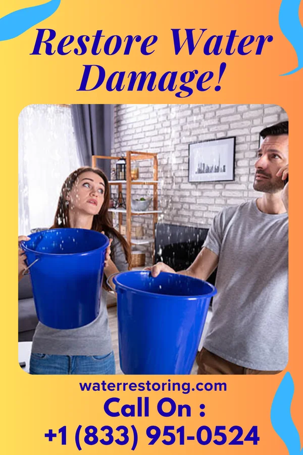 water restoration Titan Water Damage Contractors Bellmawr