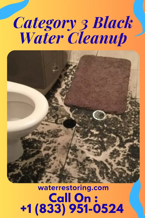 Category 3 Black Water Cleanup in Bellmawr, NJ