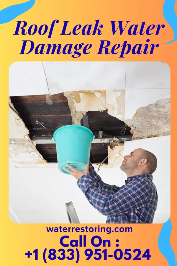 Roof Leak Water Damage Repair in Bellmawr, NJ