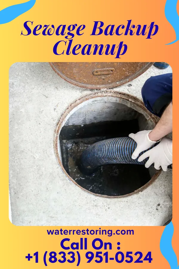 Sewage Backup Cleanup in Bellmawr, NJ