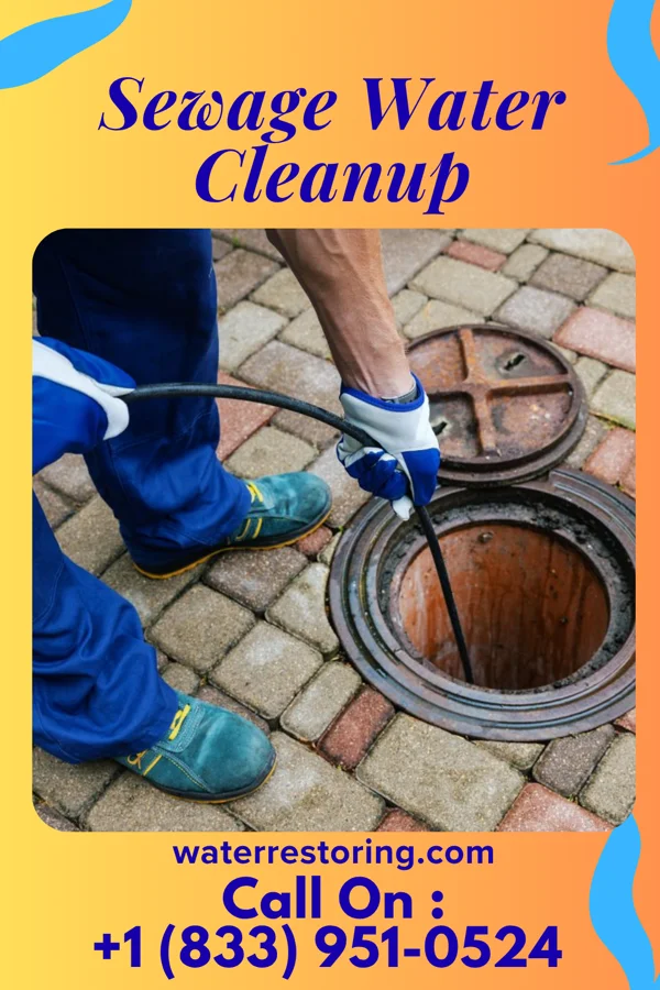 Sewage Water Cleanup in Bellmawr, NJ