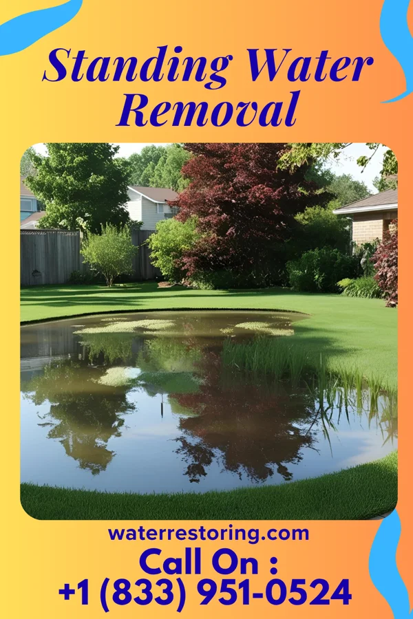 Standing Water Removal in Bellmawr, NJ